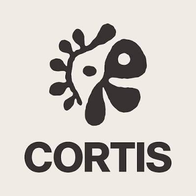 CORTIS : le nouveau phénomène qui redéfinit les codes de la cinquième génération 🎨