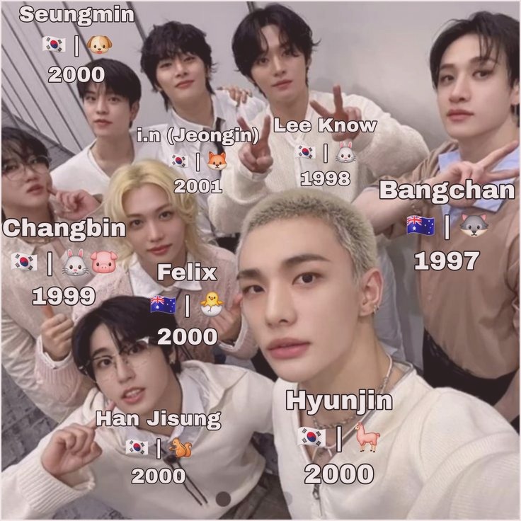 Les 8 membres de Stray Kids